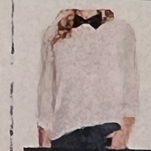 CeCe By Cynthia Steffe Soft Ecru Collared Clip Dot Sleeve Top -Size XL - Reemoly - Picture 1 of 1